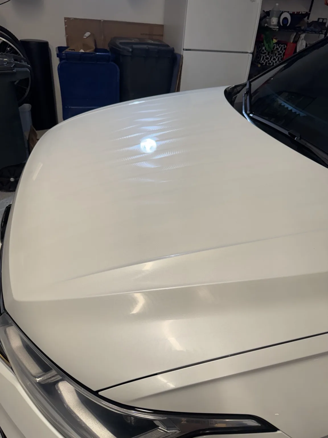 Volkswagen Tiguan Level 1 Detail | Lakewood Ranch, FL