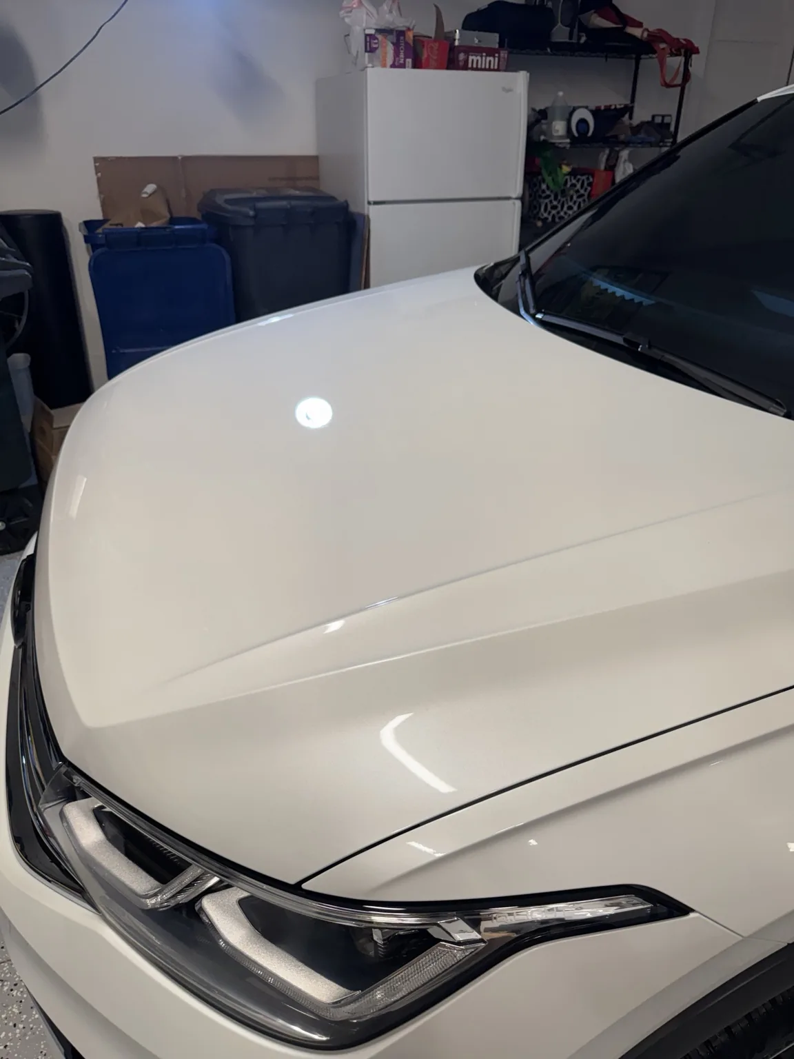 Volkswagen Tiguan Level 1 Detail | Lakewood Ranch, FL