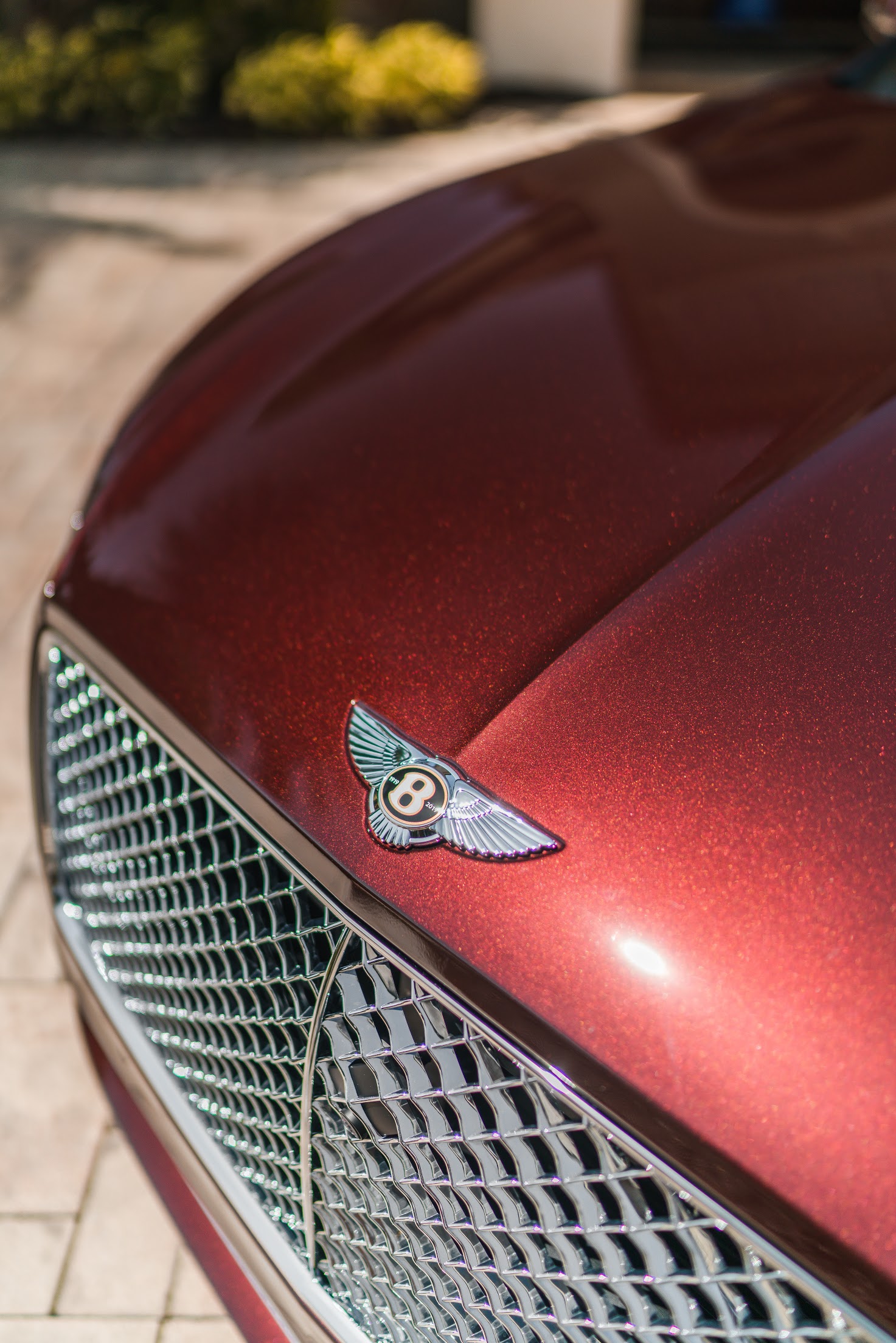 Bentley Continental GT Level 1 Detail | Lakewood Ranch, FL